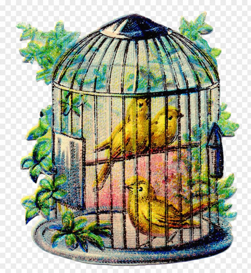 Canary Bird Cages Domestic Birdcage Clip Art PNG