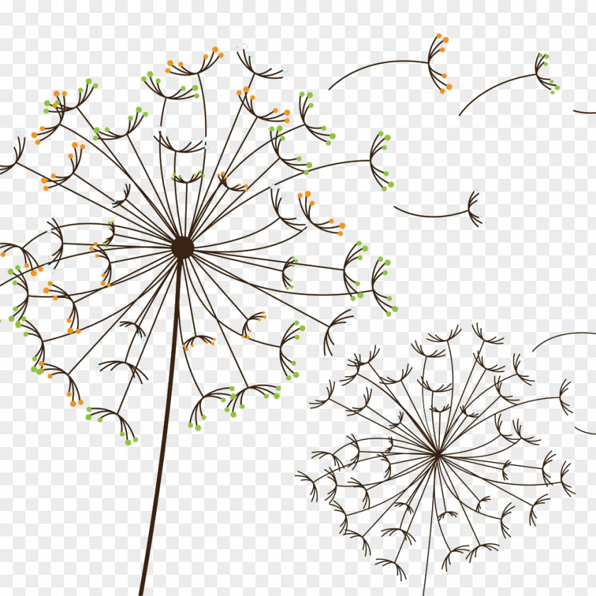 Color Hand Painted Dandelion RGB Model PNG