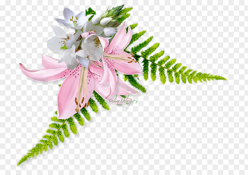 Flower Cut Flowers Web Browser Petal PNG