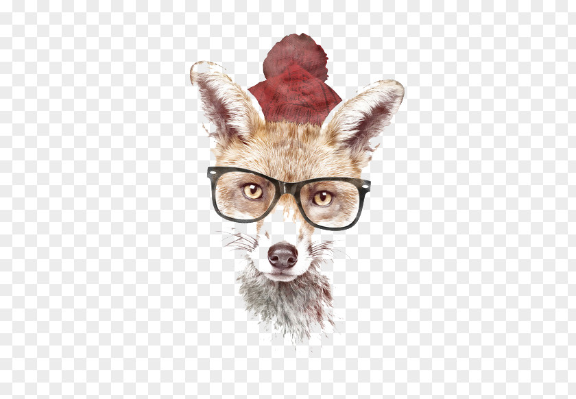Hand-painted Fox Mr. 4 Colours Poster T-shirt PNG