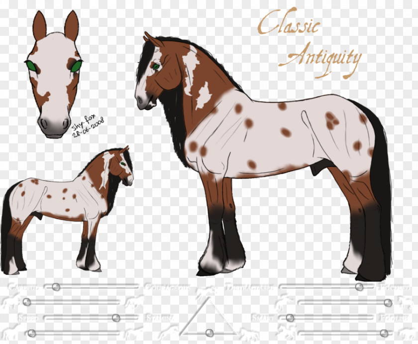 Mustang Mule Stallion Foal Colt PNG