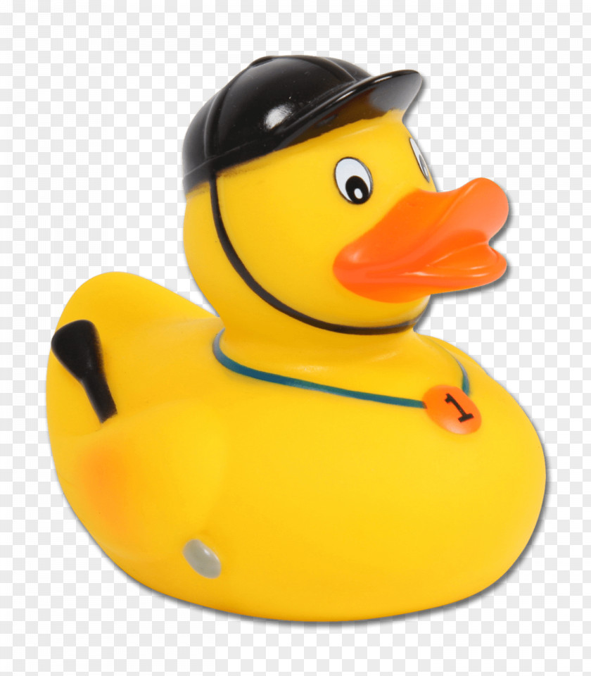 Rubber Duck Horse Equestrian Bathing PNG
