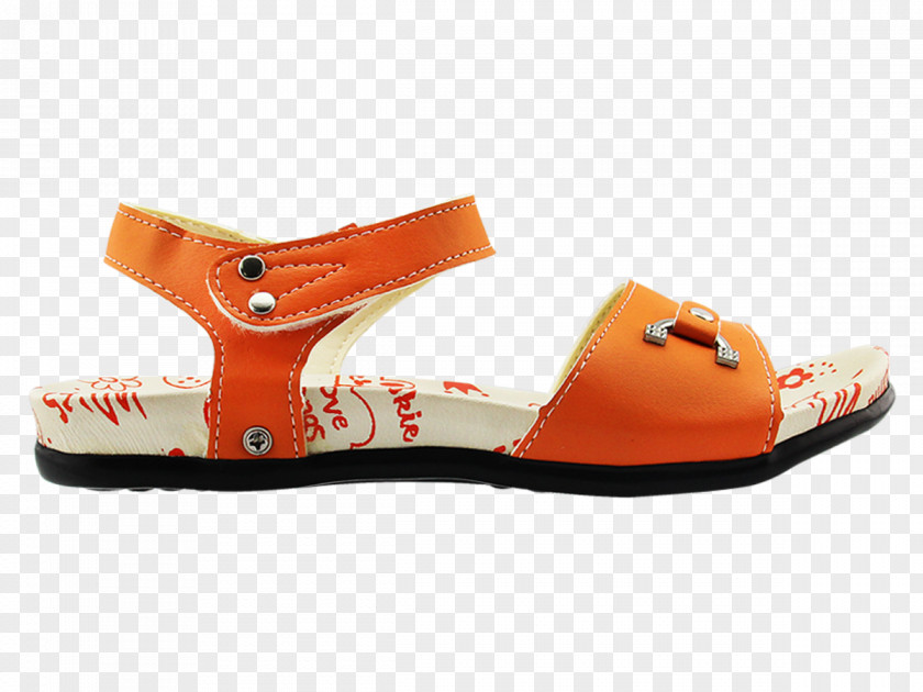 Sandal Slide Shoe Product PNG
