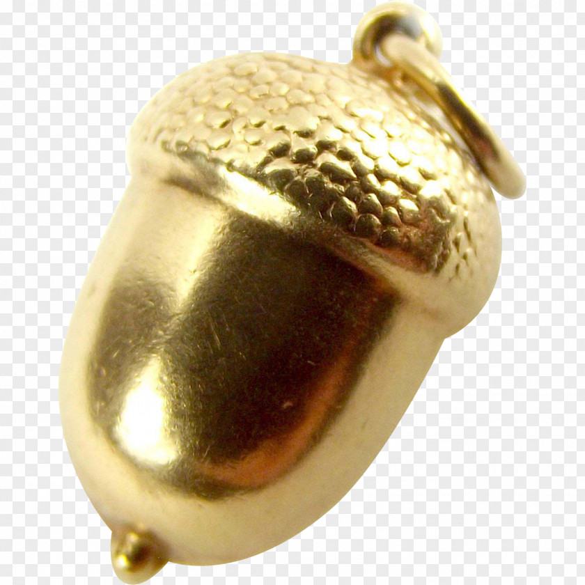 Acorn 01504 Metal Jewellery PNG