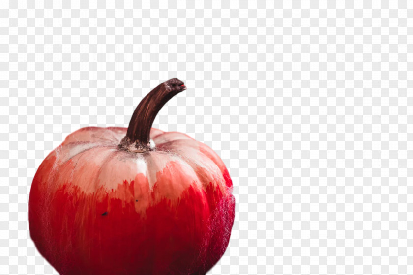 Apple Fruit PNG