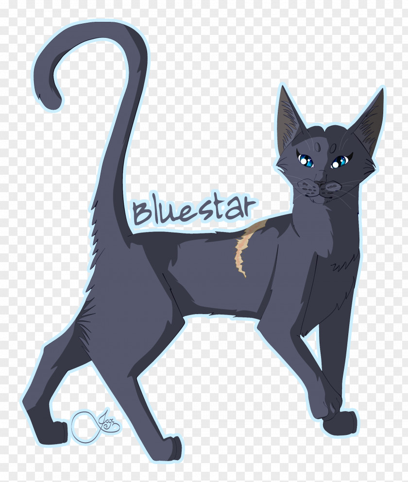 Bluestar Erin Hunter Black Cat Korat Warriors Domestic Short-haired Whiskers PNG