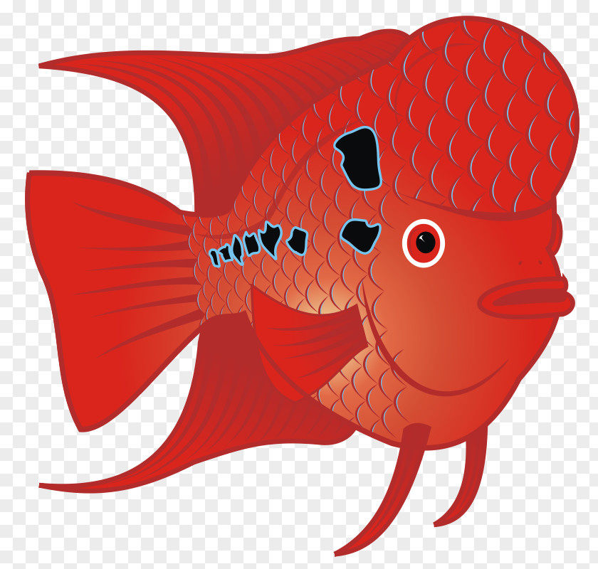 Goldfish Images Flowerhorn Cichlid Carassius Auratus Fish Clip Art PNG