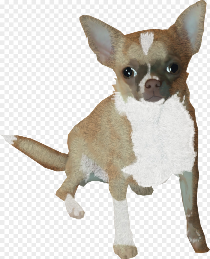 Puppy Chihuahua Dog Breed Companion Toy PNG