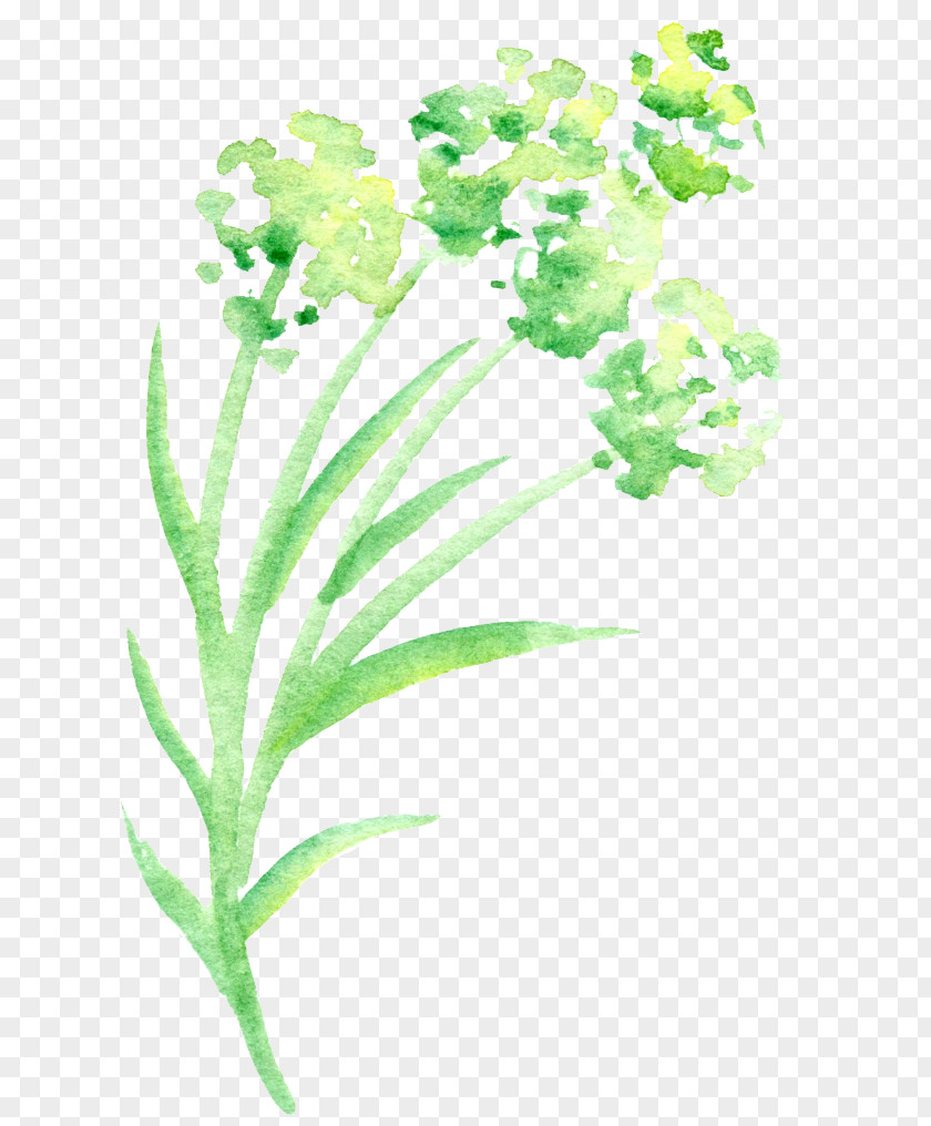 Simple Green Watercolor Floral Petal Painting Flower PNG