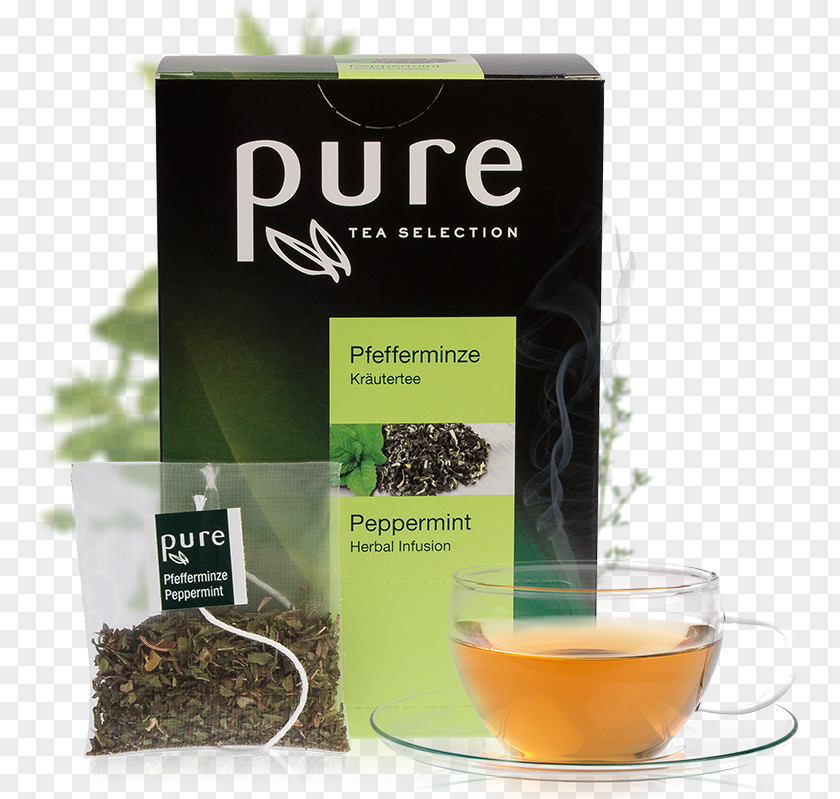 Tea Shop Darjeeling White Green Oolong Earl Grey PNG