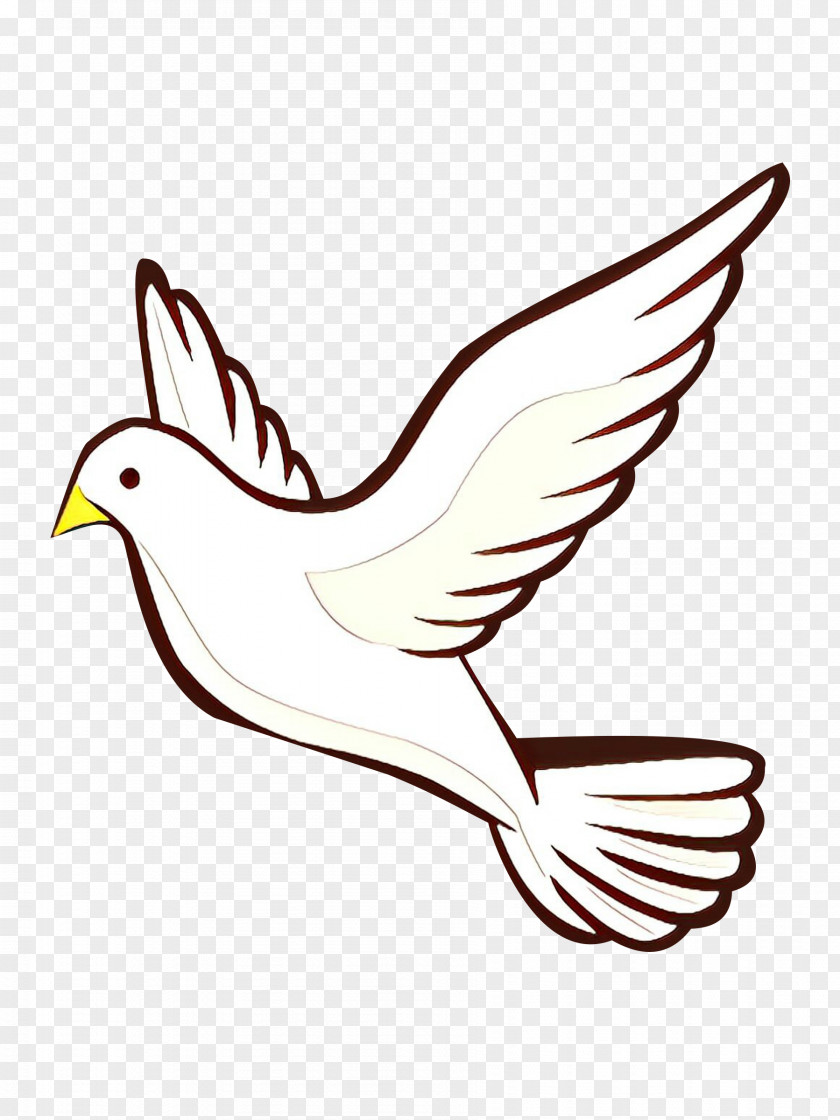 Clip Art Pigeons And Doves Vector Graphics Transparency PNG