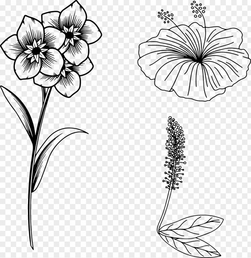 Floral Design PNG