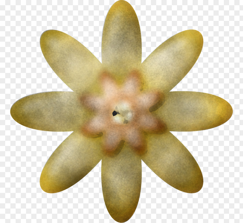 Flower Petal PNG