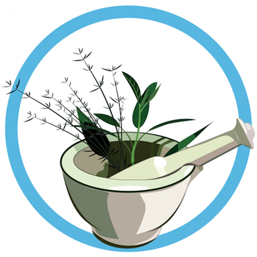 Herb Herbalism Medicine Mortar And Pestle Cure PNG