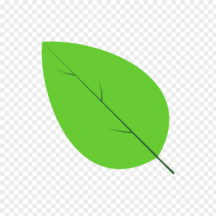 Ilex Aquifolium Leaf Line Angle Green PNG