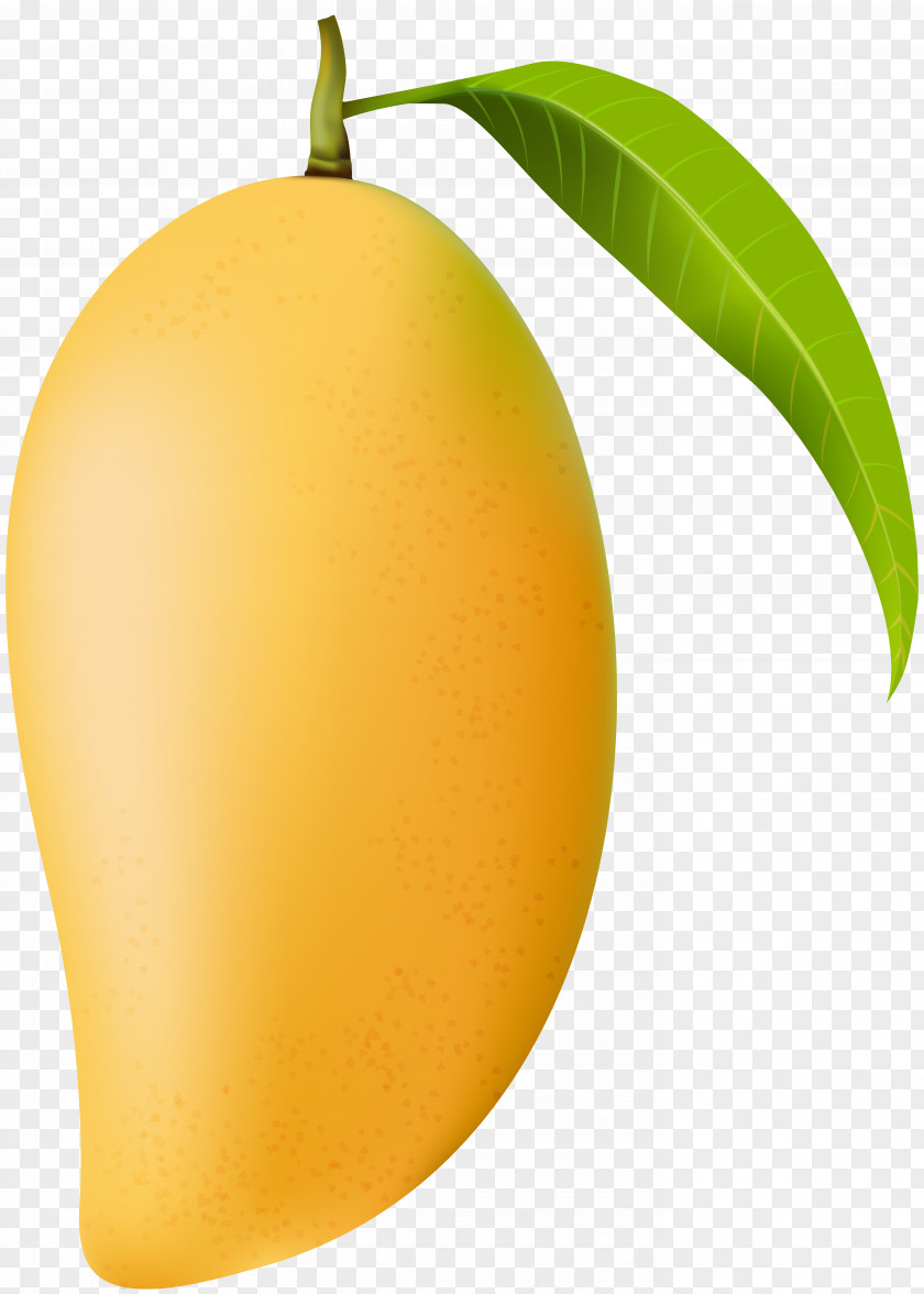 Mango Clip Art Image PNG