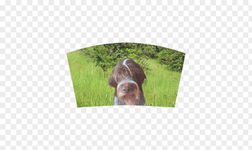 Pointer DOG Dog Breed Wirehaired Pointing Griffon German Sporting Group PNG