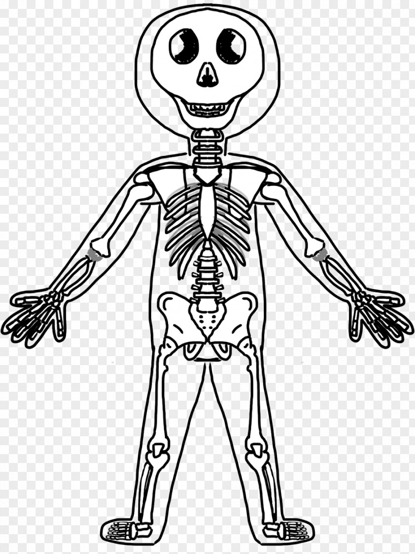 Skeleton Picture For Kids Human Body Bone Clip Art PNG