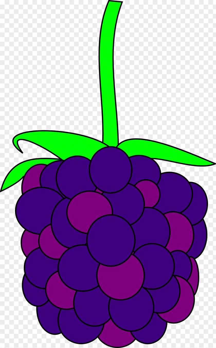 A Bunch Of Grapes Blackberry Clip Art PNG