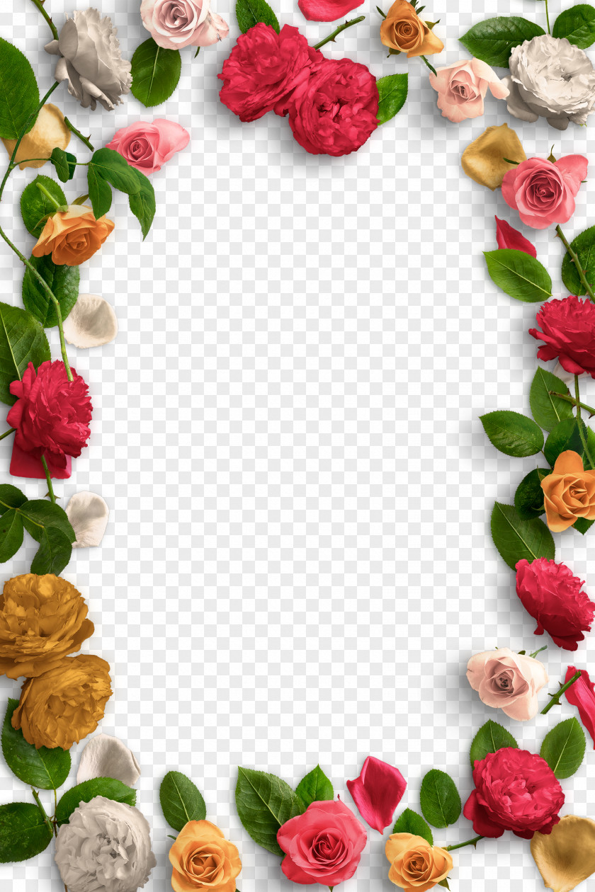 Colorful Roses Creative Flower Petal Clip Art PNG