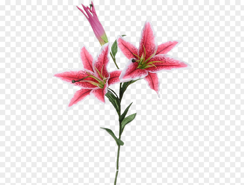 Flower Lily 'Stargazer' Artificial Easter Bouquet PNG
