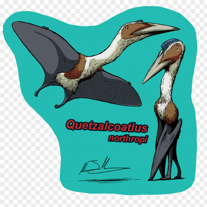 Gannet Wildlife Dinosaur Cartoon PNG