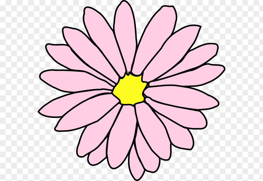 Hawaii Flower Common Daisy Drawing Outline Clip Art PNG