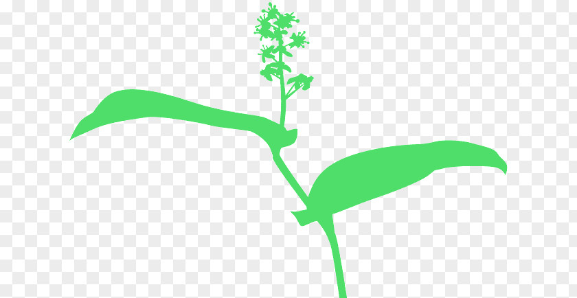 Logo Flower Green Leaf Plant Stem PNG