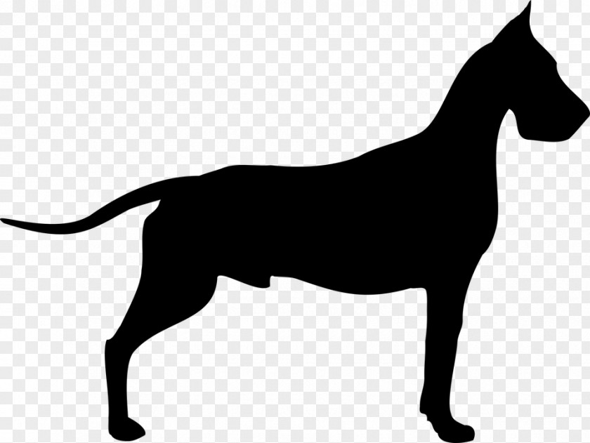 Puppy Dog Breed Great Dane Dogue De Bordeaux Pembroke Welsh Corgi Clip Art PNG