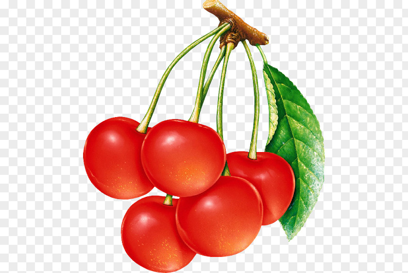 Cherry Clip Art PNG