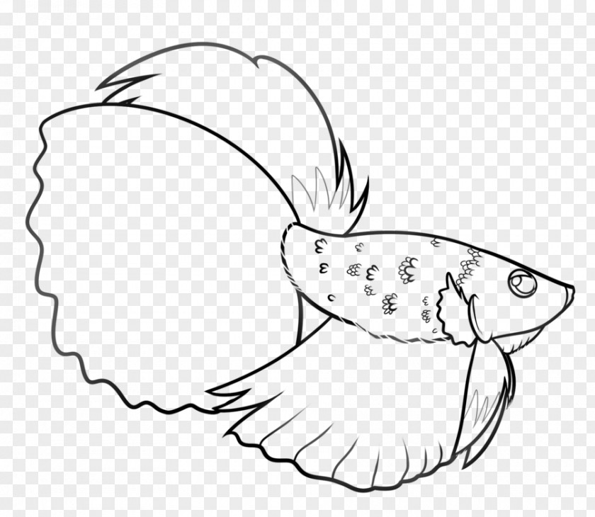 Fish Siamese Fighting Drawing Beak Art PNG