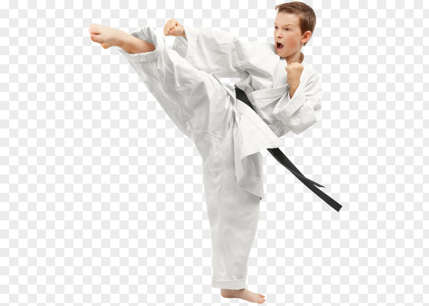 Karate Taekwondo Martial Arts Gi Sport PNG