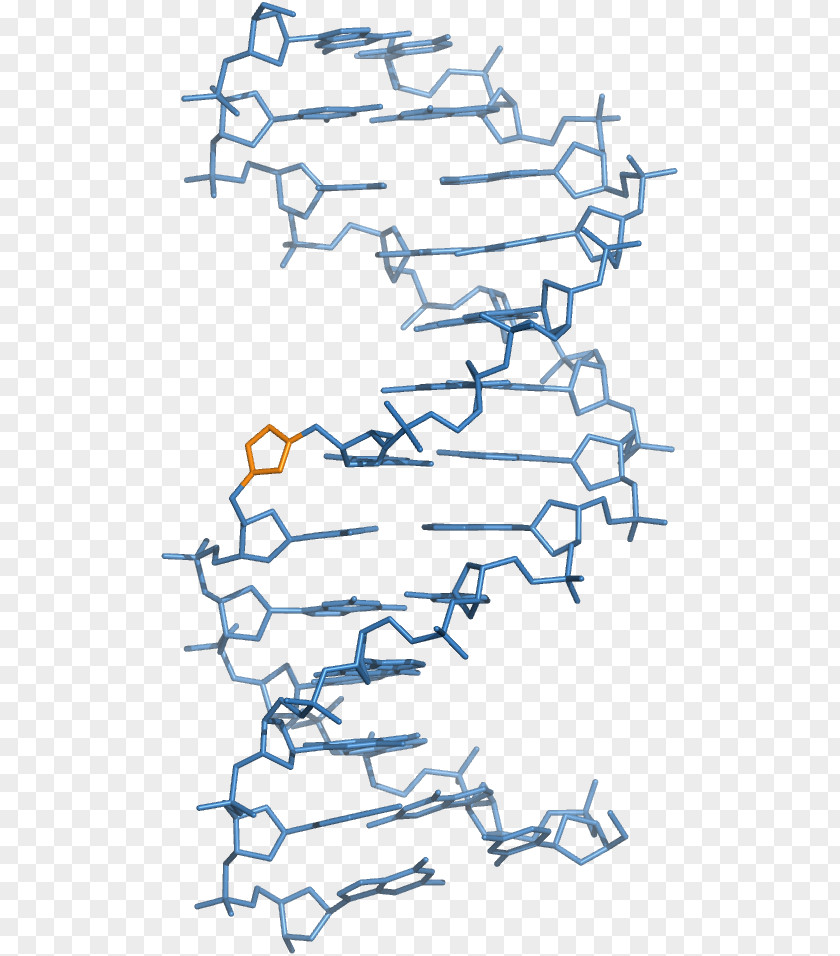 Peptide Nucleic Acid Locked DNA Backbone Chain PNG