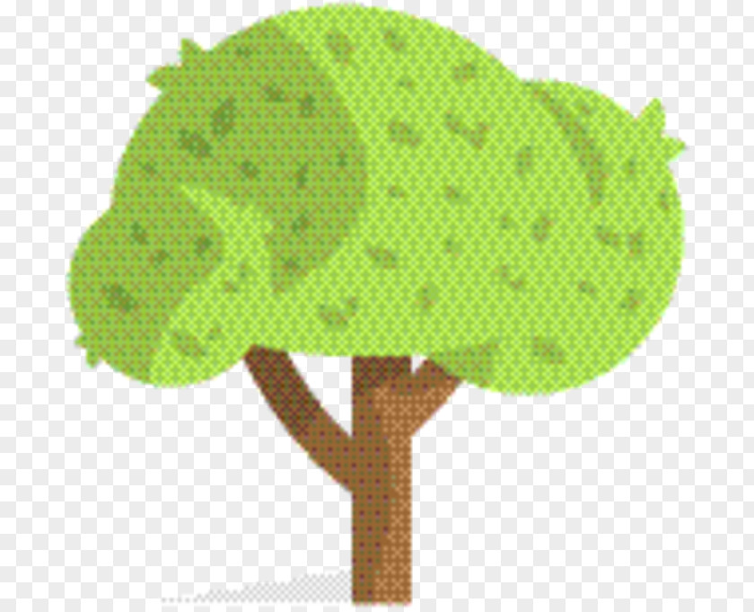 Plant Broccoli Green Leaf Background PNG