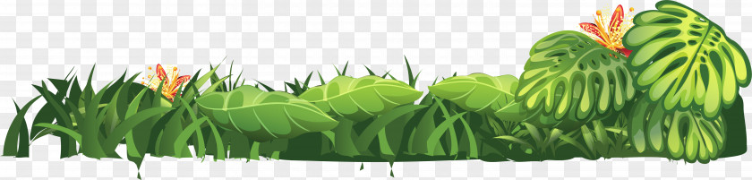 Wheatgrass Leaf Commodity Plant Stem Tree PNG