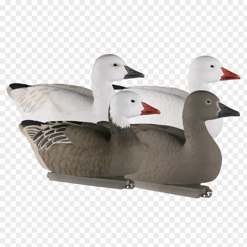 Duck Goose Product Design PNG
