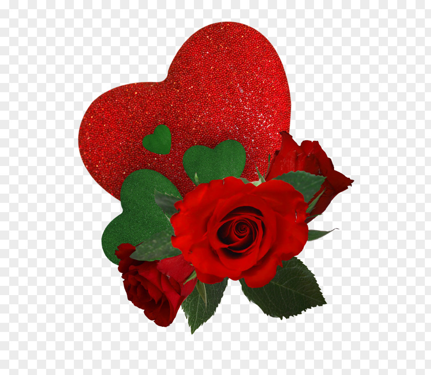 Heart Garden Roses PNG