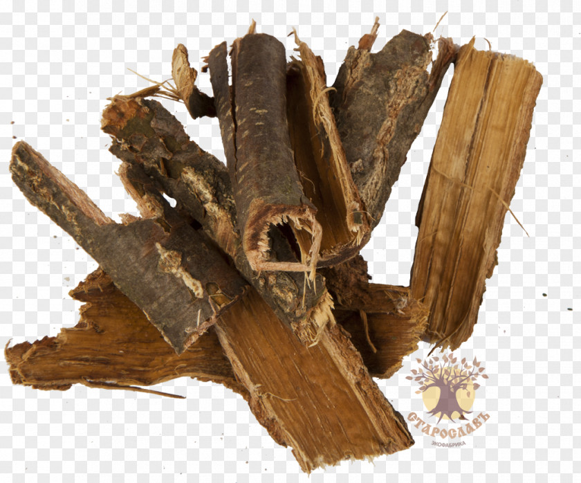 Bark English Oak Tree Root Extract PNG