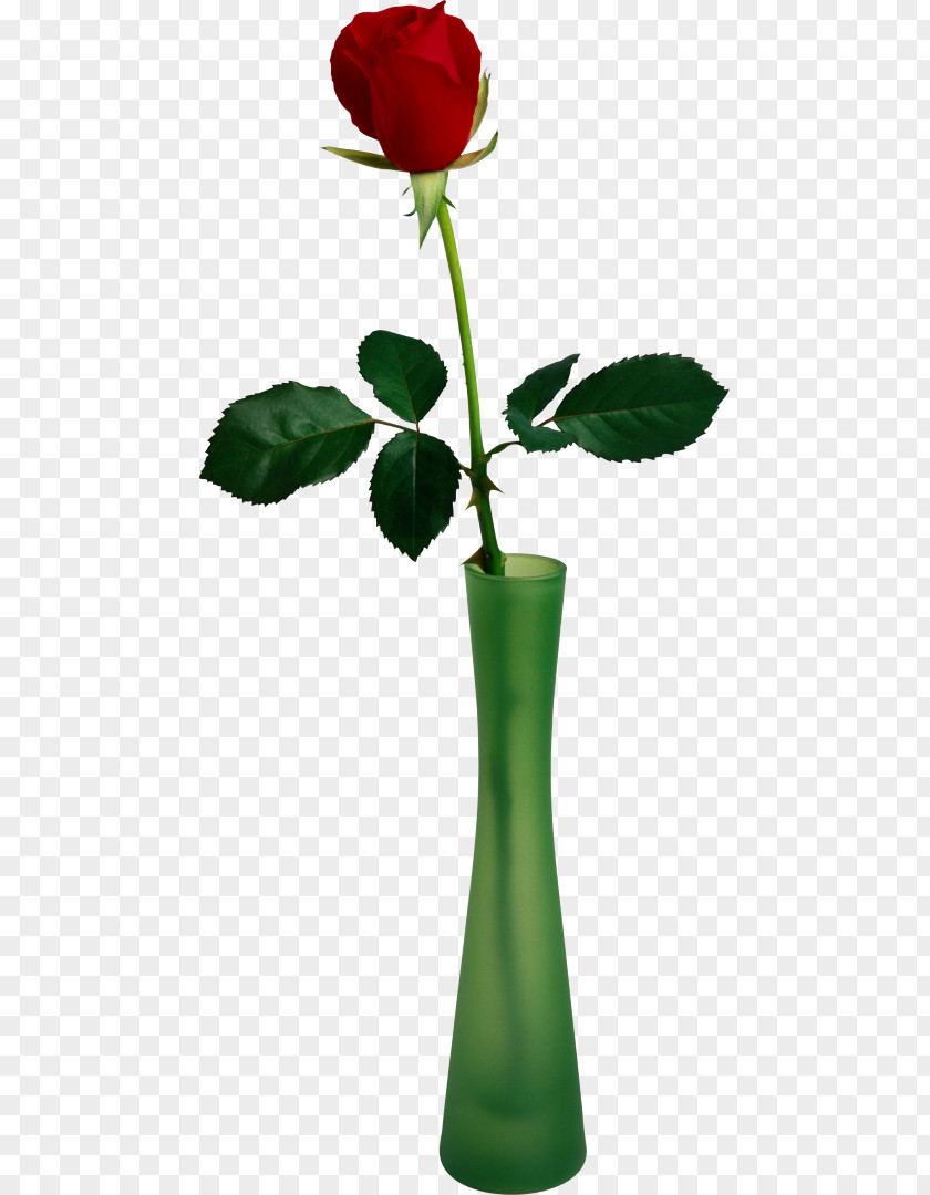 Vase Garden Roses Clip Art Flower PNG