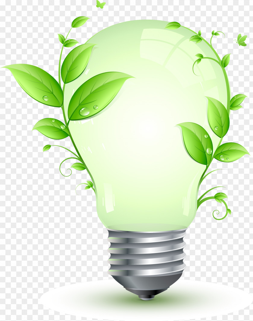 Vector Energy Saving Bulb Conservation Efficient Use Electricity Incandescent Light PNG