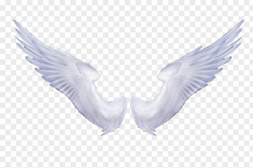 Black And White Angels Wing Angel Clip Art PNG