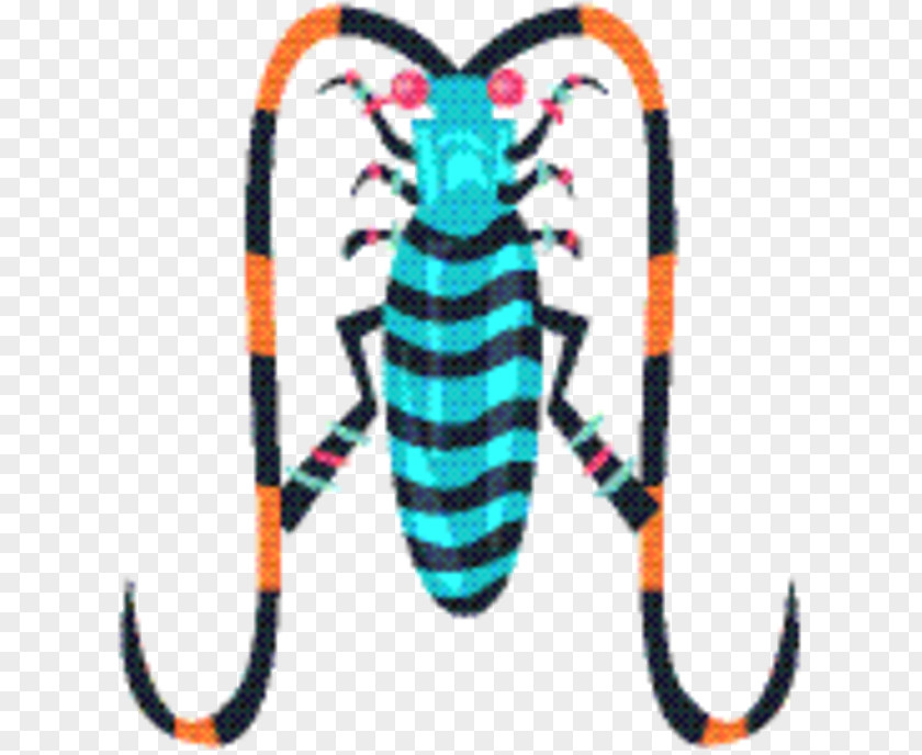 Blister Beetles Animal Figure Cartoon PNG