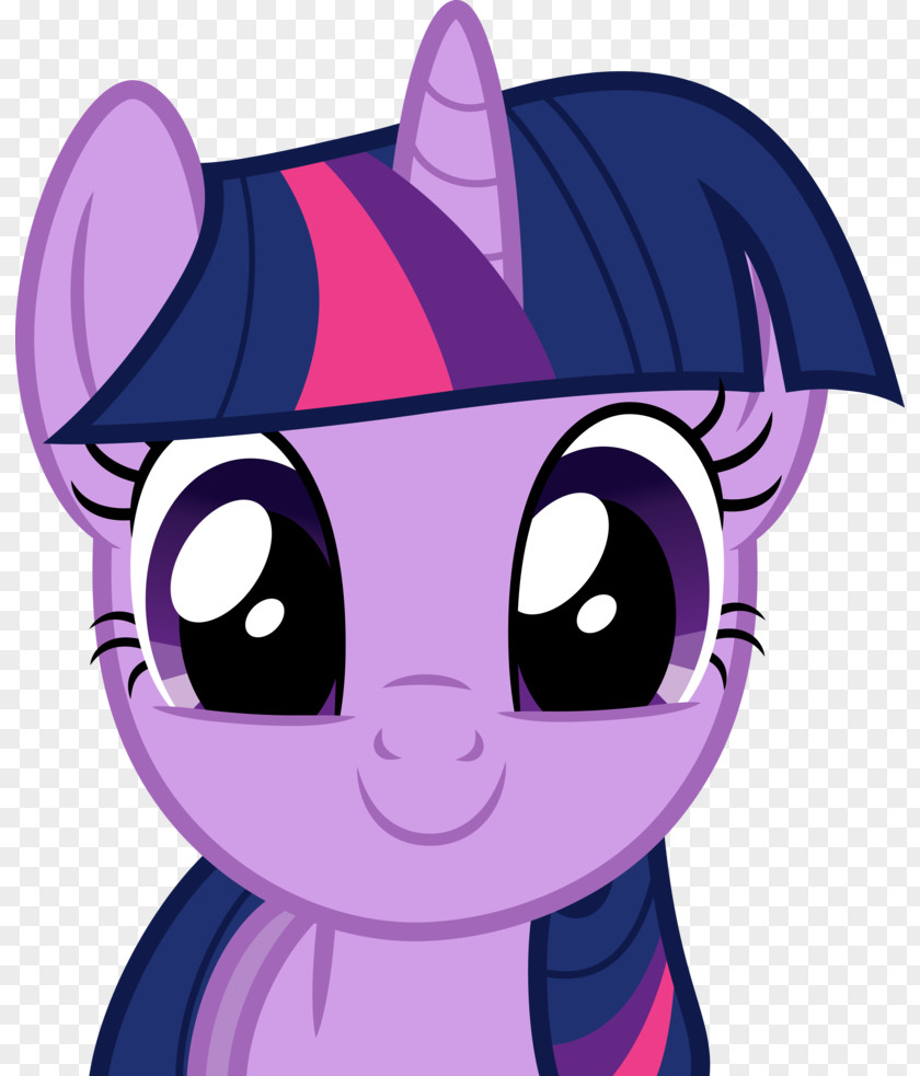 Twilight Sparkle Pinkie Pie Pony Rarity PNG