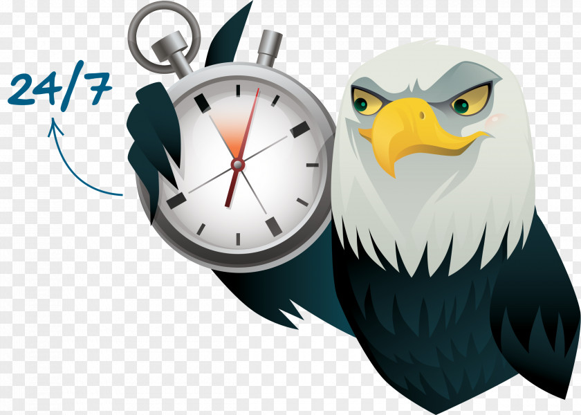 24 Hours 7 Days Digital Clock Bird Of Prey Beak PNG