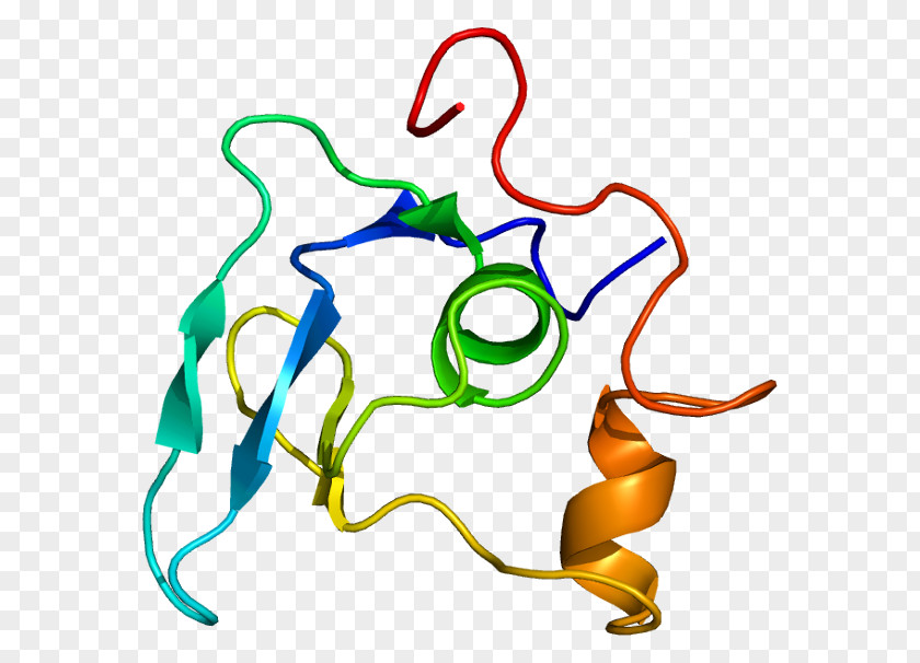 Cellular Fibrillin 1 Protein Marfan Syndrome Online Mendelian Inheritance In Man PNG