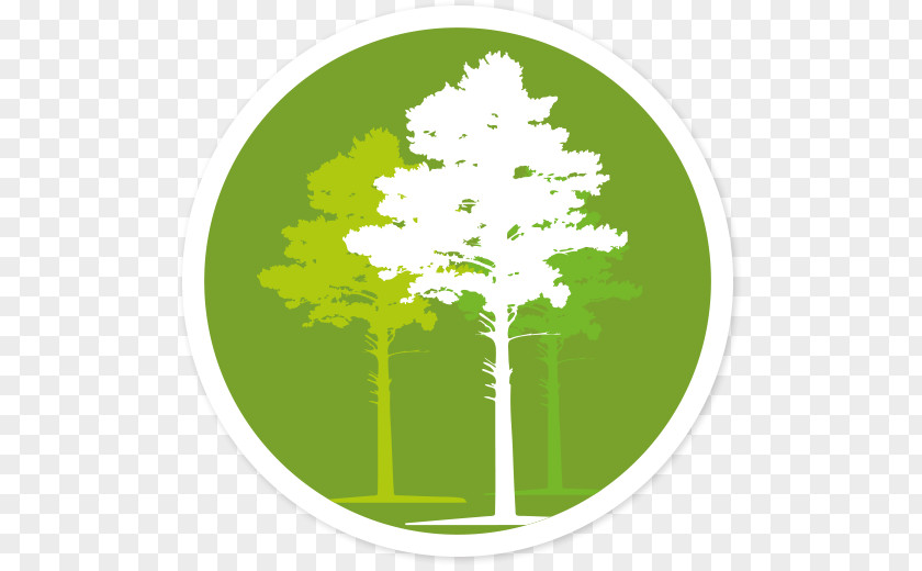 Diversity Icon Tree Energy Font Leaf Text Messaging PNG