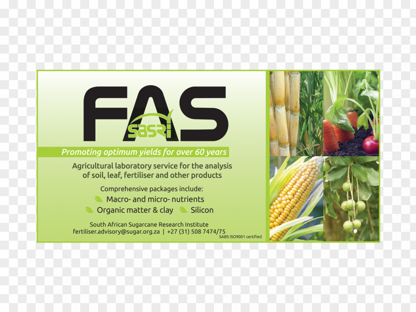 FAS Advertising Brand Superfood PNG