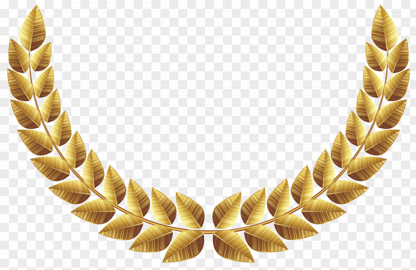 Gold Laurel Wreath Bay Clip Art PNG