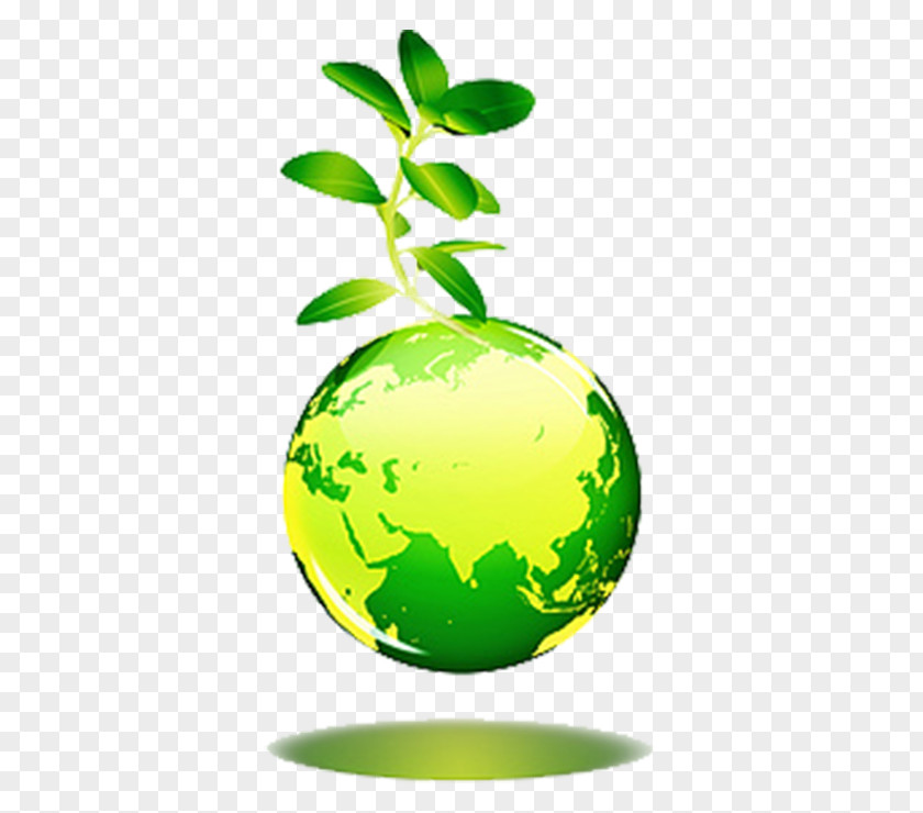 Green Vector Earth Sustainable Development Natural Environment Business Organization Ecology PNG