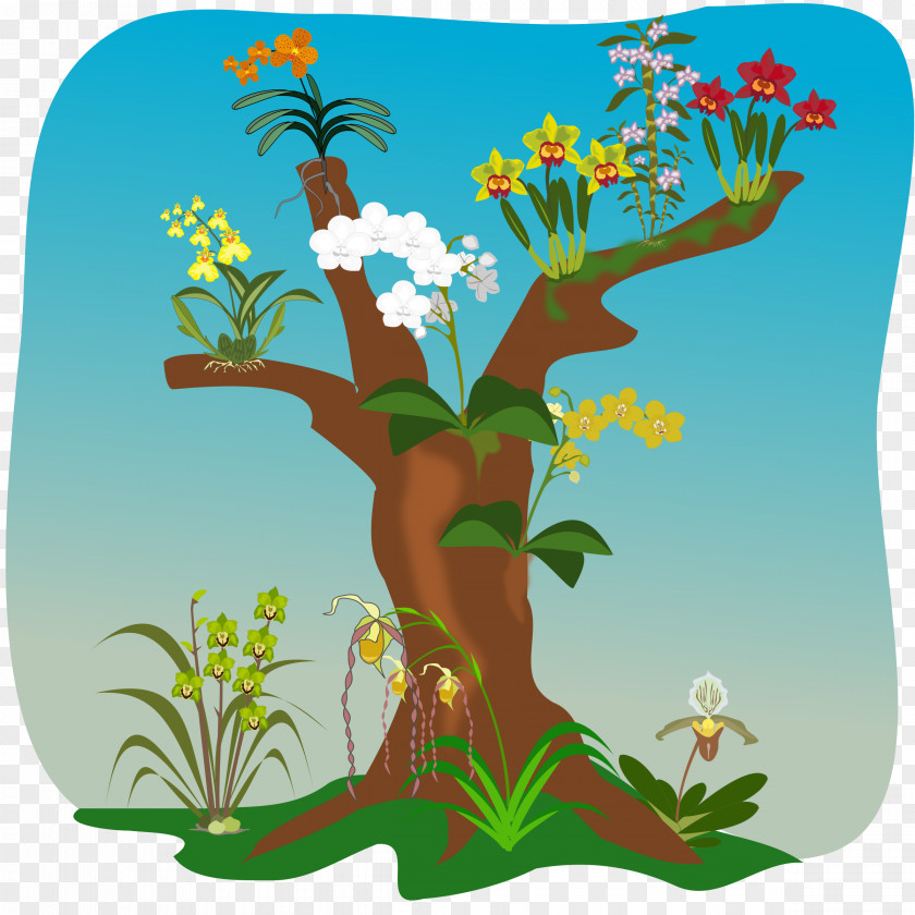 Orchids Tree Clip Art PNG